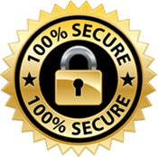 100% secure badge