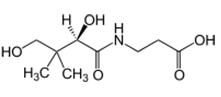 Pantothenic Acid