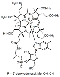 Vitamin B12 (as cyanocobalamin)