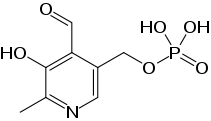 Vitamin B6