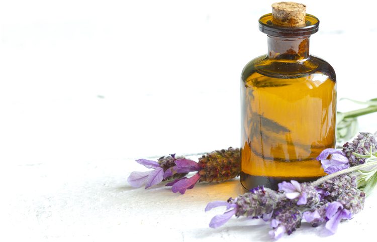 Beauty And The Best Supplies From Nature