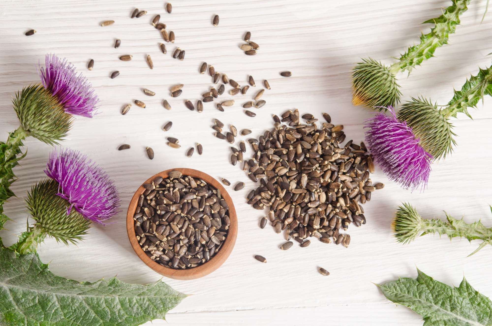 milk_thistle_for_liver