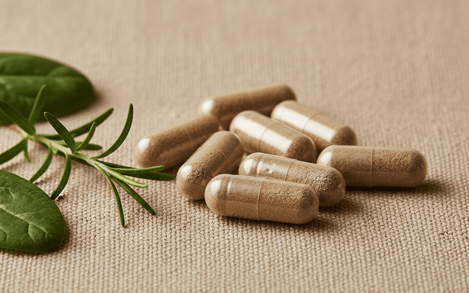 herbs