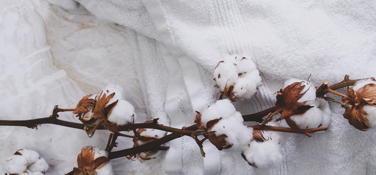 Cotton towel