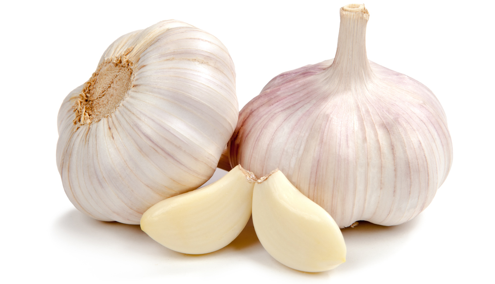 Garlic
