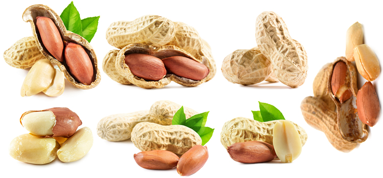 Peanuts