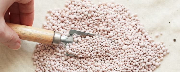 Sodium nitrate