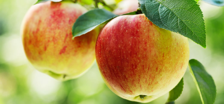 Healthy foods that fill you up