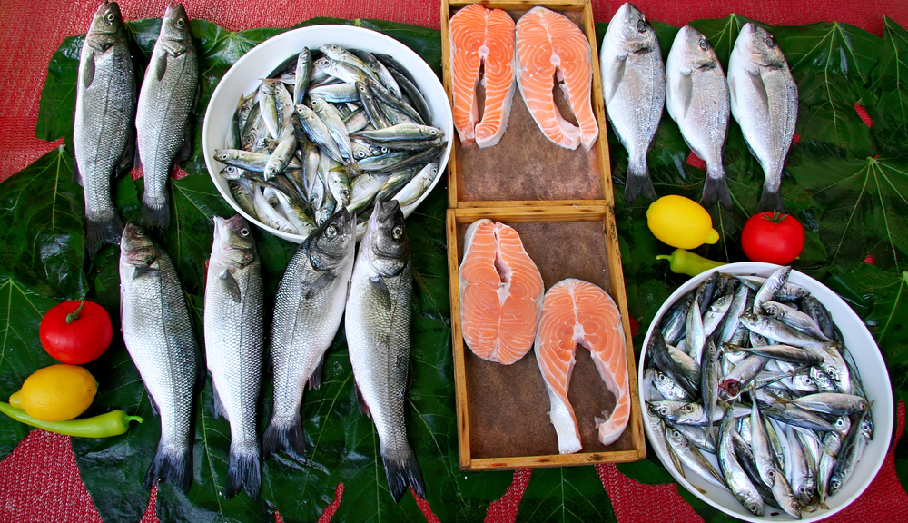 farmed_salmon