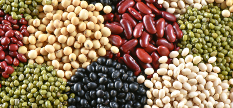 Healthy foods that fill you up